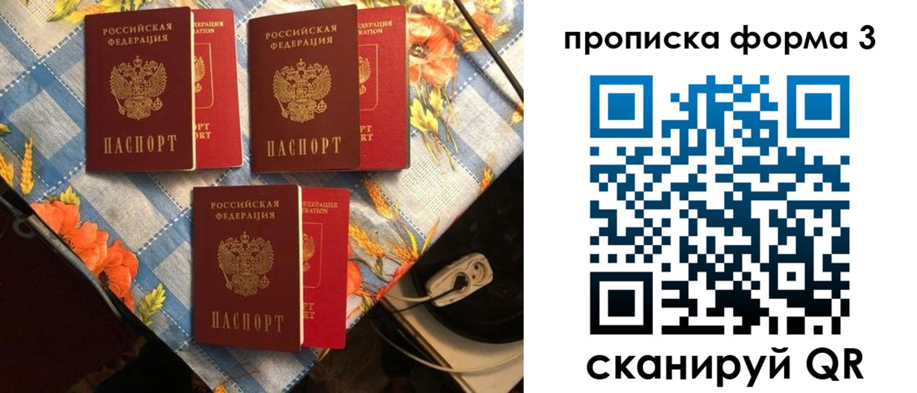 где прописаться в Курской области